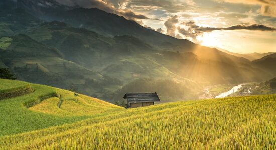 Sapa Best Terraced Rice-fields
